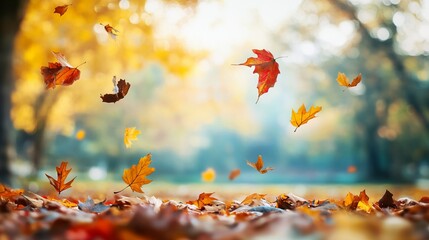 Autumn leaves falling from trees in a scenic park.
