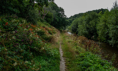 Cornish River Walk in Summer.