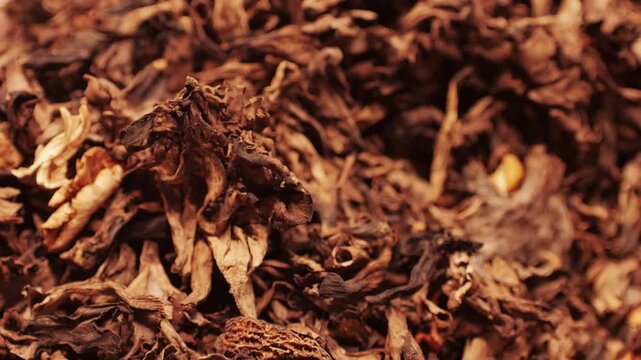 Dry morel mushrooms are stacked in a pile, perfect for upscale dishes and cooking purposes