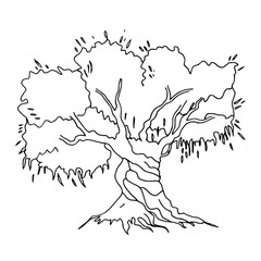 Obraz premium Olive tree Ink drawing. Hand drawn Vector illustration on a white background. Sketch for menu, product and italian, greek, spanish cuisine design.