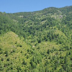 Montana National Glacier park 2024 