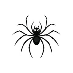 a spider vector illustration isolated white background 
