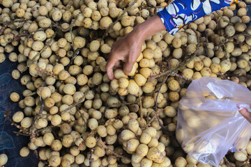 group of fresh Longkong or Langsat or Duku sell in traditional market in Indonesia.