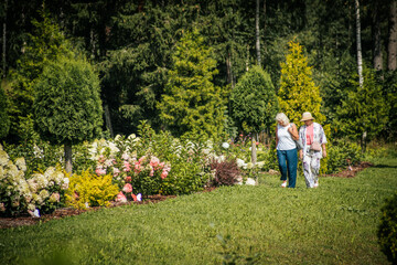 Fototapeta premium The women admire the colorful garden filled with a variety of flowers, including red, purple and yellow flowers, against a backdrop of greenery and white hydrangeas.