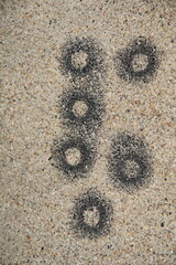 Black Dots on Gray Concrete