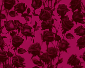 Gothic style seamless pattern with soft edged butterflies . Halloween themed graphic print for clothing, fabric, wallpaper, home decor, wrapping paper