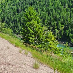 Montana National Glacier park 2024 
