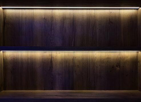 Dual Lit Shelves with Dark Wood Paneling for Modern Interiors