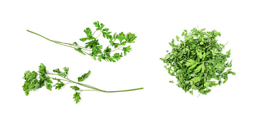 Dry parsley pile isolated. Crushed cilantro leaves heap, dried garden parsley, chervil flakes,...