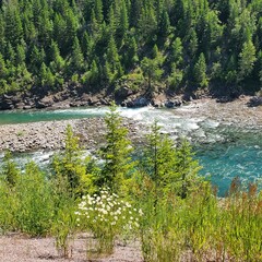 Montana National Glacier park 2024 