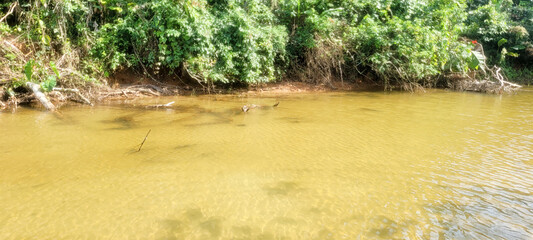 clear water river on the coast in ubatuba on itamambuca beach