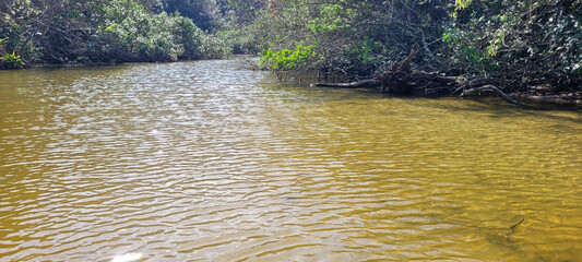 clear water river on the coast in ubatuba on itamambuca beach