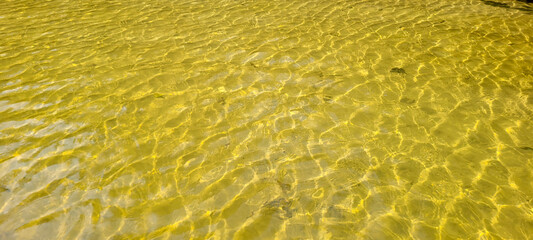 clear water river on the coast in ubatuba on itamambuca beach