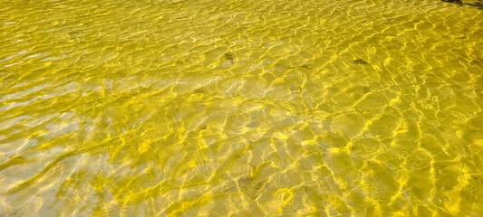clear water river on the coast in ubatuba on itamambuca beach