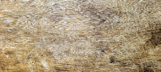 light wood texture background, rustic