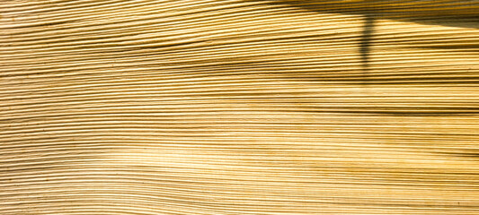 beige abstract background with texture