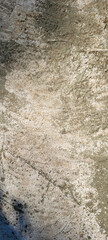 dark rustic background with cement texture