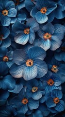 Close Up of Blue Flowers With Leaves