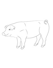 Funny Pig coloring pages, Pig coloring pages, Animal Coloring page Funny Pig coloring page Design for Kids Children preschool stock vector style illustration