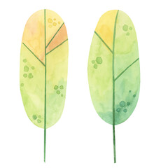 Green and yellow-green trees in cartoon style. Hand drawn watercolor clipart set perfect for nature-themed designs, garden illustrations, postcards, forest environment, or eco-friendly projects.