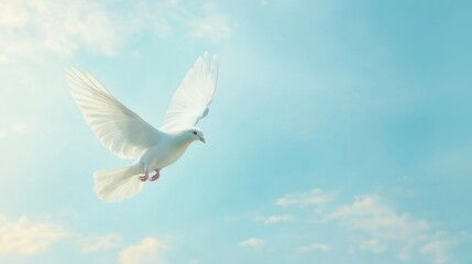 Fototapeta premium White dove soaring in serene blue skies background with empty space for text
