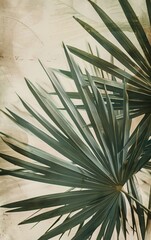Close Up of Plant With Blurry Background