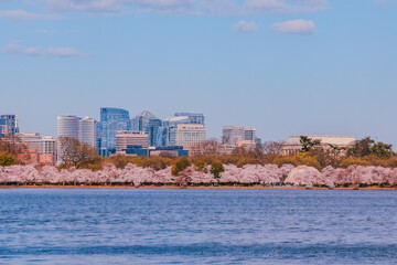 view of the city from the river, Washington Distrito Capital. 