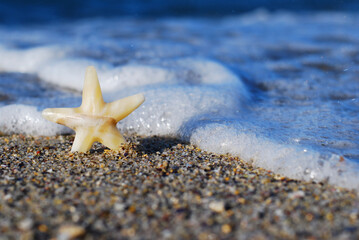 The beauty star on the beach with sea and waves	
