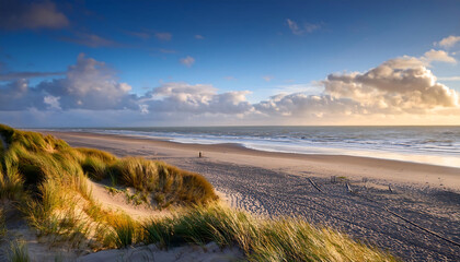 Beach view