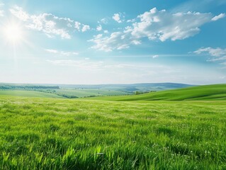 Fototapeta premium Green Meadow Under Sunny Sky