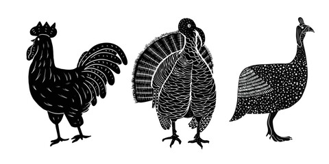 guinea fowl bird, peacock, turkey bird isolated linocut, sketch of birds, line art