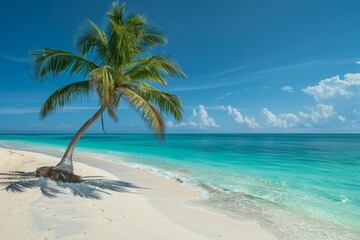 Idyllic beach getaway with white sand, turquoise water, and palm tree shade in a tropical paradise