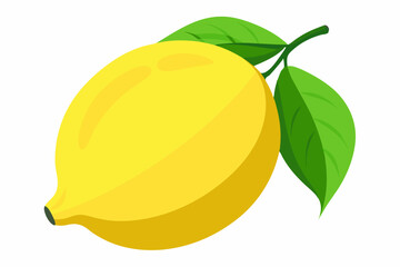  yellow lemon fruit with leaf with white background vector art illustration