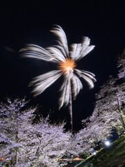 桜と花火