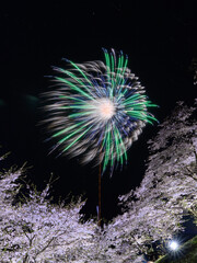 桜と花火