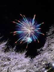桜と花火