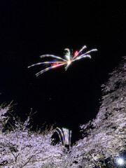 桜と花火