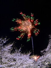 桜と花火