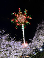 桜と花火