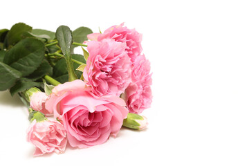 白背景の薔薇の花束