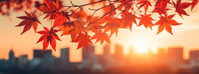 Cultural observance: autumn equinox day in Japan, commemorating ancestors, keeping memory of dead alive, traditional practices, heartfelt ceremonies that emphasize reverence, remembrance