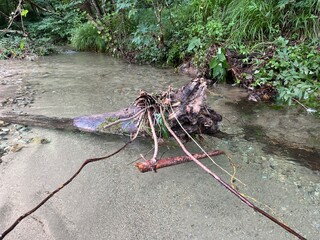 clear river in minakami japan