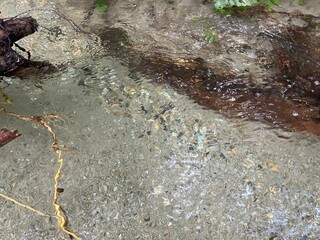 clear water in minakami japan