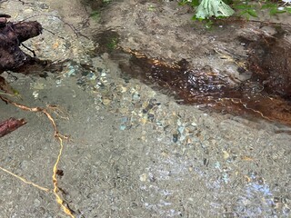 clear water in minakami japan