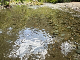 water flowing in the forest clear minakami japan