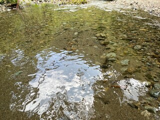 river in the forest minakami japan