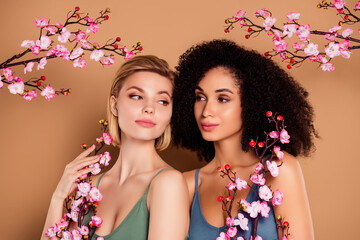 Fototapeta premium Photo of shiny dreamy ladies dressed underwear top holding japanese cherry branches isolated beige color background