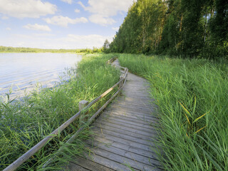 A wooden boardwalk foot path runs along the edge of a lake. The water is calm and the sky is clear. Warm sunny day vibe. Green grass on a side. Park design and outdoor activity