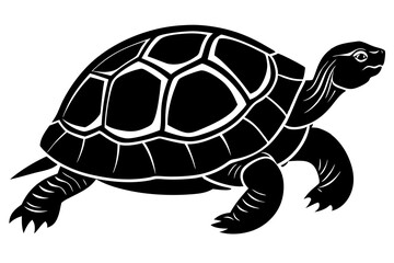 Turtle Silhouette, turtle marine animal icon, silhouettes of sea turtle
