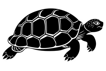 Turtle Silhouette, turtle marine animal icon, silhouettes of sea turtle
